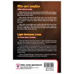 Light Between Lives | ජිවිත අතර ආලෝකය