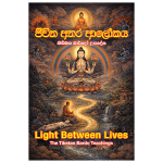 Light Between Lives | ජිවිත අතර ආලෝකය